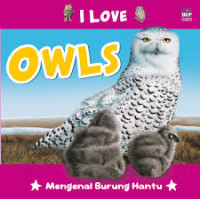 Image of I love owls = mengenal burung hantu