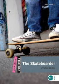 Image of The skateboarder